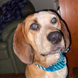 Meet your Posher, Morgan